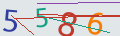 verifycode